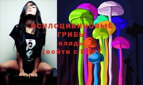 ECSTASY Балахна