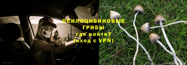 ПСИЛОЦИБИНОВЫЕ ГРИБЫ Балабаново